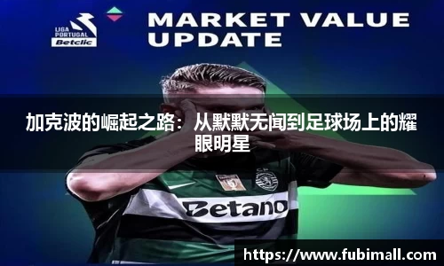 足球直播